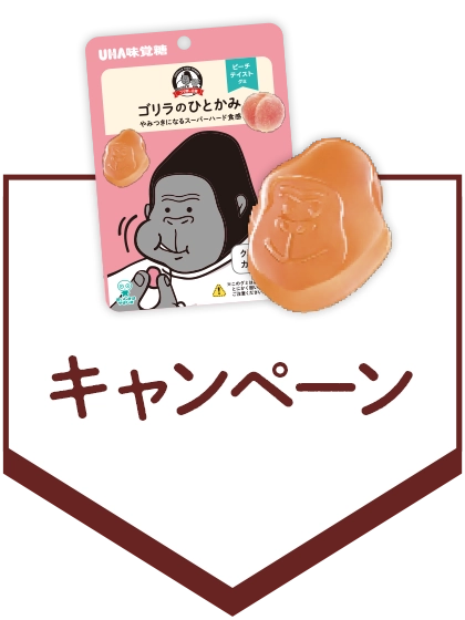 キャンペーン