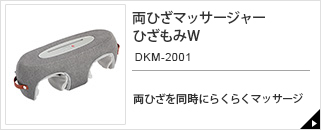 DKM-2001